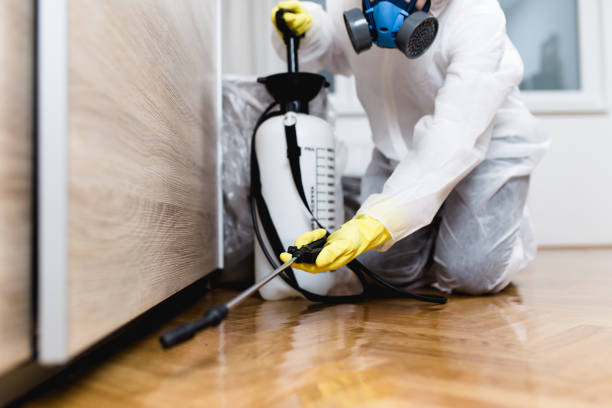 Best Rat Extermination Near Me  in Lincolnia, VA