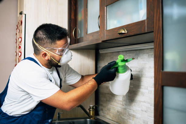Best Mosquito Control Services  in Lincolnia, VA