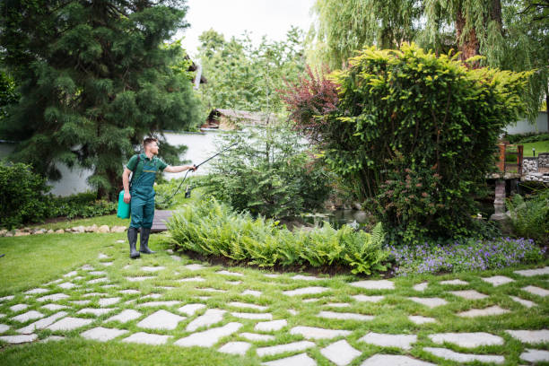 Best Insect Control  in Lincolnia, VA
