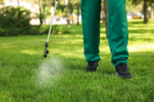 Best Emergency Pest Control  in Lincolnia, VA