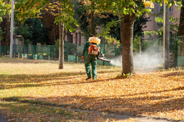 Best Pest Prevention Services  in Lincolnia, VA