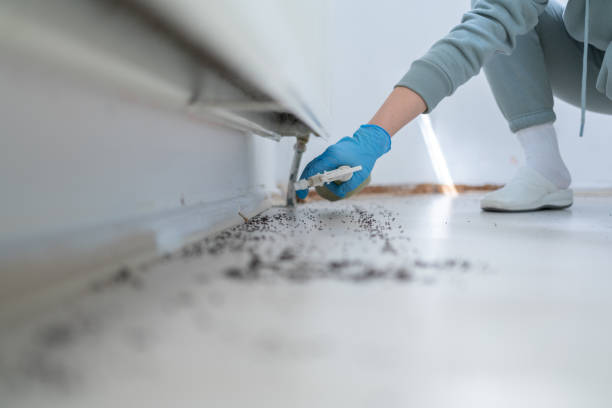 Best Bed Bug Extermination  in Lincolnia, VA